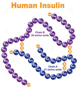 Человеческий инсулин