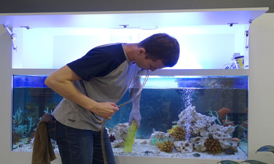 Отвечаем на вопрос как легче вылить воду из аквариума, используя резиновый шланг
