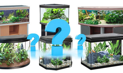 Как правильно посчитать по размерам аквариума сколько литров воды необходимо залить?