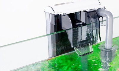 Полезная информация: как сделать воду в аквариуме кристальной и чистой