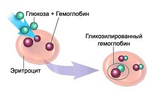 Гликированный гемоглобин