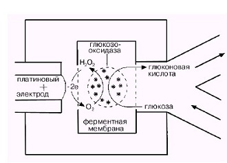 Принцип действия электрохимического глюкометра